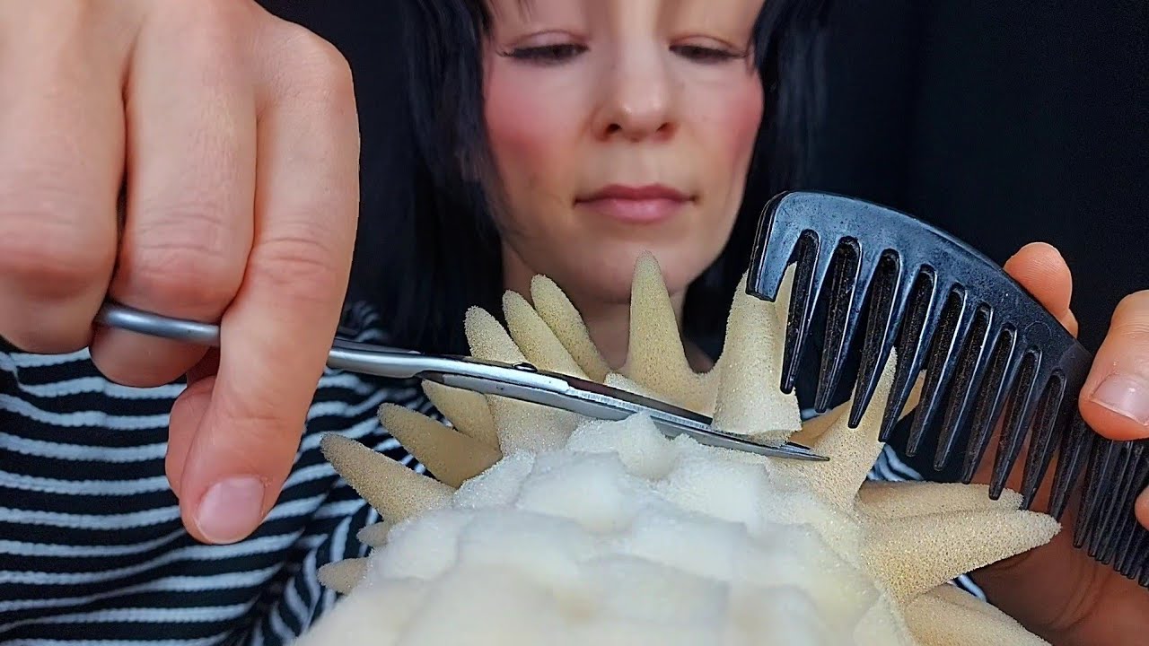 *ASMR* Bart comes to the Hairdresser again.  He wants very short red hair