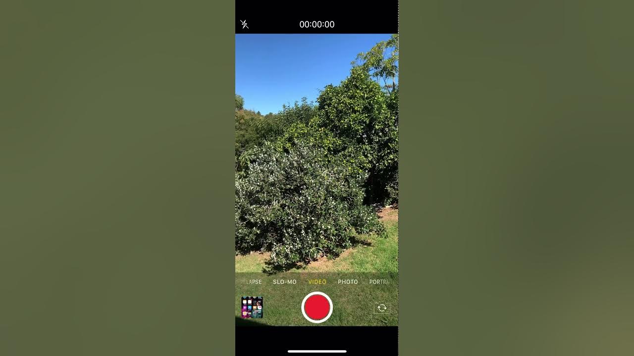 HOW TO MAKE VIDEO QUALITY BETTER ON IPHONE XS YouTube