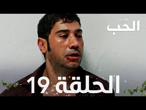 مسلسل مرارة الحب الحلقة 19 مدبلجة   