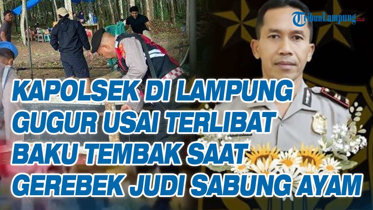 Kapolsek Negara Batin Way Kanan Gugur Usai Terlibat Baku Tembak Saat Gerebek Judi Sabung Ayam