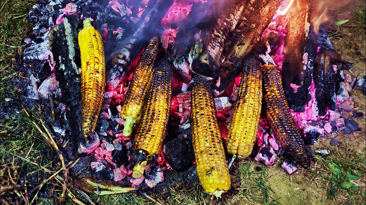 AMINTIRI DIN COPILARIE - PORUMB PE JAR PARTEA 3 ELEFANTII LA ATAC