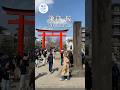 鎌倉 桜 2025年3月30日 KAMAKURA DIARY Shorts No.32 　#鎌倉diary_vlog #桜 #shorts