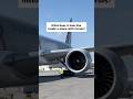 How horses flying-in airplane ?
