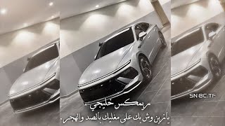 ريمكس خليجي   يازين وش بك على مغليك بالصد والهجر كاويني       اجنبي  خليجي سمعها