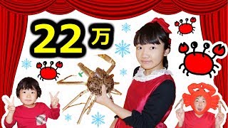 ★幻の２２万円高級カニ～！「もう二度と見れないかも！」★Crab of 220,000 yen★