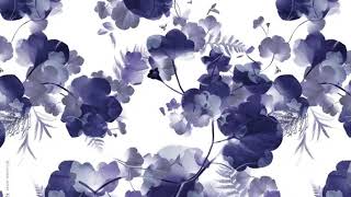 Watch Bahamas Snow Plow video