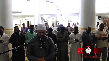 تلاوة تنسيك حزن قلبك من سورة ال عمران مؤثرة خاشعة القارئ سعيد القاضي (ولا تحسبن الذين قتلوا)
