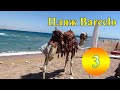 🔴🔴 Лучший пляж Египта в Barcelo Tiran Sharm 5*. 2019. Бар на пляже. Шарм-Эль-Шейх. Egypt.