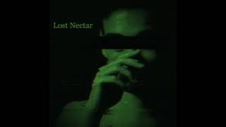 Joji : Lost Nectar - ( Intro )
