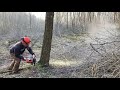 Stihl Ms462 c-m akác döntés, ahogy én csinálom!