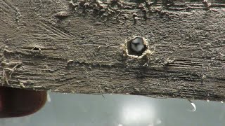 Ratnik 6E6 Drilling A Large And Long Hole In Hardwood With With Its Super Awl