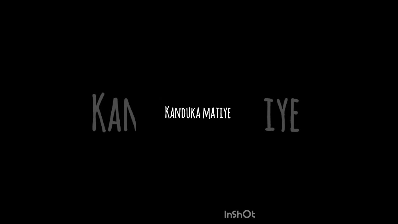 Bye bye bhaiya ✨💙 #trending #hiphoptamizha #vjsiddhuvlogs #harshathkhan #songlyrics #trendingsong