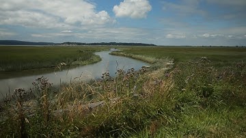 Protect Where the Water Comes From