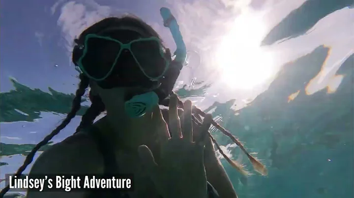 Turks and Caicos Fish Files 2022