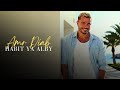 Amr Diab Habit Ya Alby Official Lyric Video عمرو دياب حبيت يا قلبي 