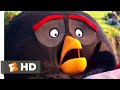 The Angry Birds Movie - Pee Lake Scene | Fandango Family