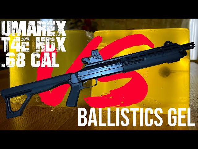 Check out this video! shoots at ballistics gel using the Umarex Hammer and  the results are pretty awesome! The video is linked below⬇ #airgunhunting  #airguns #ballisticsgel #AHL, hammer