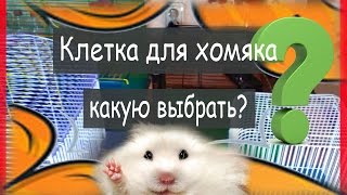 Клетка для хомяка: какую выбрать? Полная версия