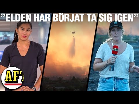 Video: Hemligheten med 