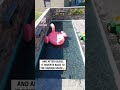The perfect back yard pool 👌 ⁠⁠🎥: poolbuilder_tom