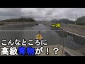 【茨城県中部】6月下旬アジ狙い！梅雨真っ最中に太平洋に面している茨城県日立市にある細い川の河口付近で鯵を狙って釣りしていたら…！【2021.06.29】