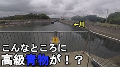 ちゃんねるよしゅあ Youtube