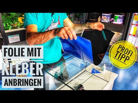 Video: So Kleben Sie Den Hintergrund An Das Aquarium