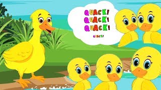 ⁣Five Little Ducks in Hindi | पाँच छोटे बत्तख | Preschool Hindi Songs | Kids Rhyme Hindi