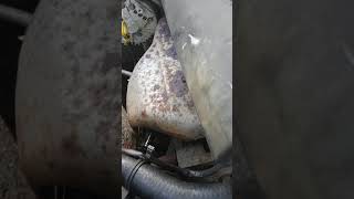 2005 Altima no heat fix, answers 2005 Altima no heat fix, answers