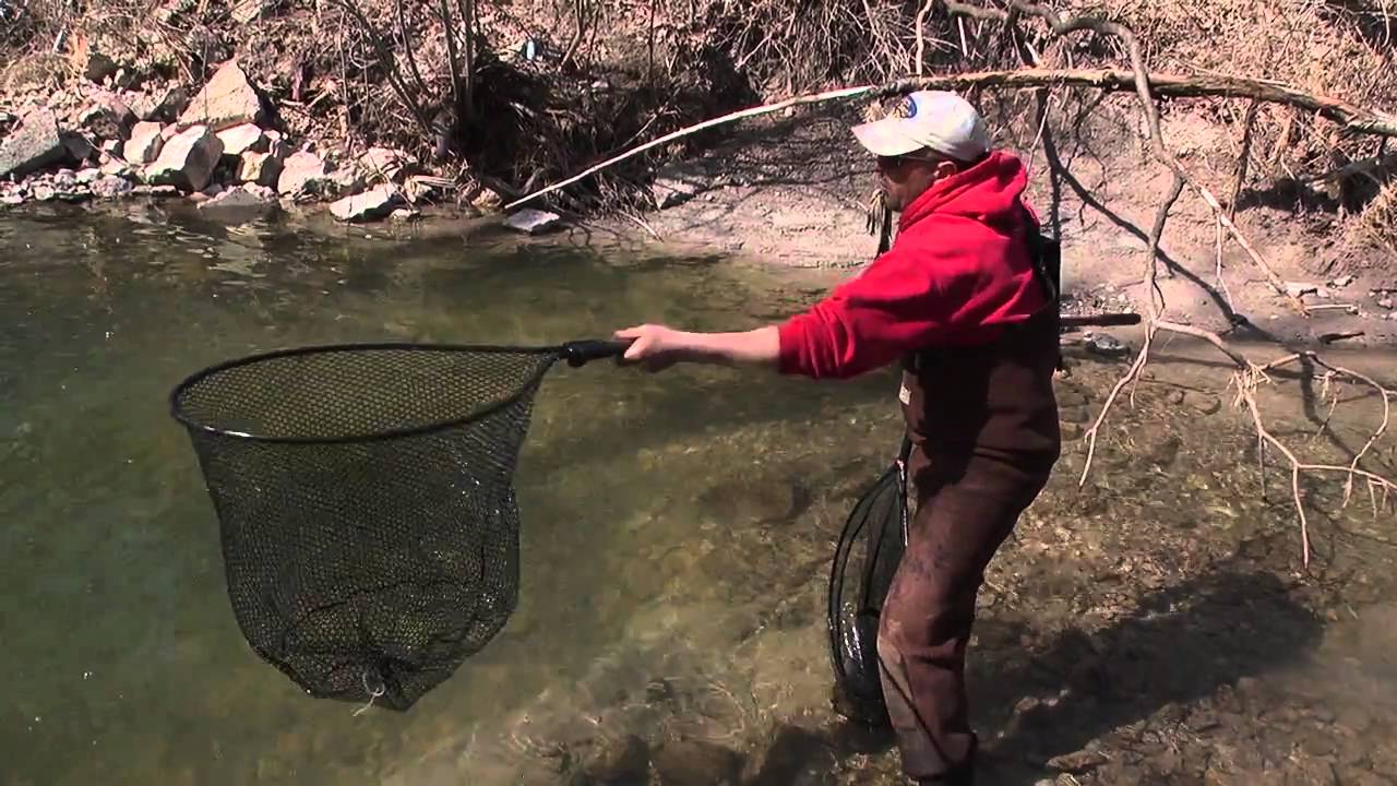 Frabill Net Selection for Steelhead Fishing 