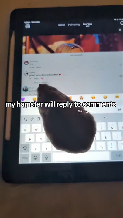 Try to comment😳😳  #viral #hamsters #comment #comedy #meme #fyp #shorts