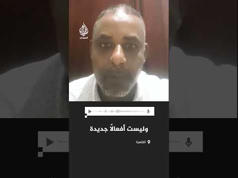 عضو المكتب التنفيذي للتيار الوطني لا أعتقد أن مشروع الدعم السريع صالح لإقامة دولة