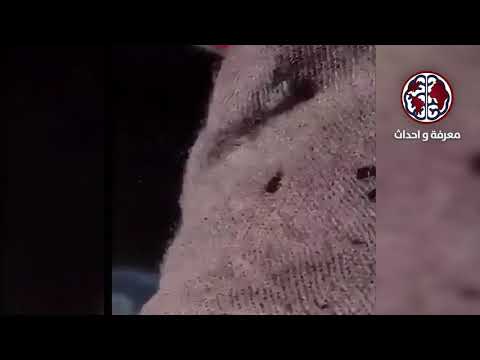 عاجل نصيحة قبل ان تشتعل سيارتك من حرارة الصيف