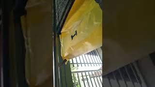 Download Lagu the g republic. and the h republic all united forever MP3