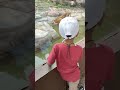 GAVIN RAMADITYA‼️LIHAT HARIMAU SUMATRA MINUM DI BATU SECRET ZOO (JATIM PARK 2),MALANG