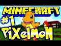 Pixelmon EP 1