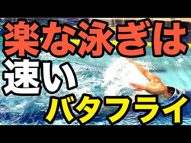 Butterfly] Not just easy, but also strokes to swim faster [Tips