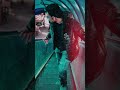 ضرب الحكومة مش حرام ولاه عيب Tiktok اكسبلور تريند تصميمي عبدالرحمن هشام Foryou فولو ضرب الحكومة مش حرام ولاه عيب Tiktok اكسبلور تريند تصميمي عبدالرحمن هشام Foryou فولو