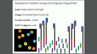VIB Tech Training: DNASeq mapping: origin of duplicates
