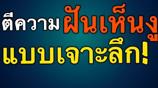 เจาะลึกการฝันเห็นงู ตีความว่าอย่างไรได้บ้าง by ณัฐ นรรัตน์