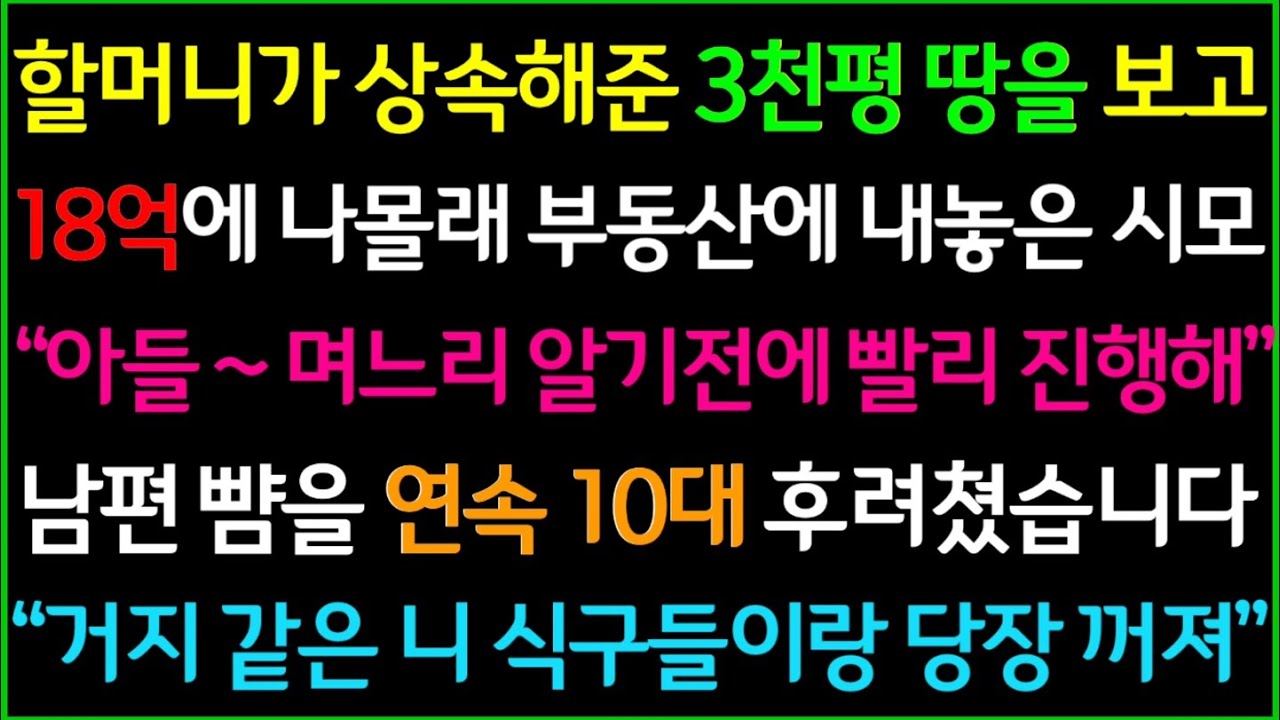 사이다-할머니가 상속해준 양평에 3천평 땅을 보고 18억에 나몰래 부동산에 내놓은 시어머니, 시댁 식구들의 속셈을 알고 이혼하고 쫓아내버렸습니다.