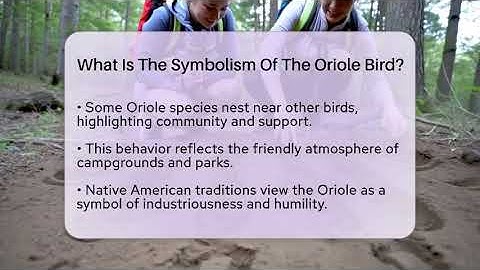 What Is The Symbolism Of The Oriole Bird? - Exploring Campgrounds