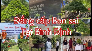 Tham quan Triển lãm sinh vật cảnh Tỉnh Bình Định Mở Rộng | năm 2022.