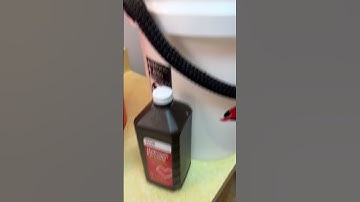 This Is Disgusting - Remove Yellowing From Old Plastic Experiment #shorts #experiment #experiments