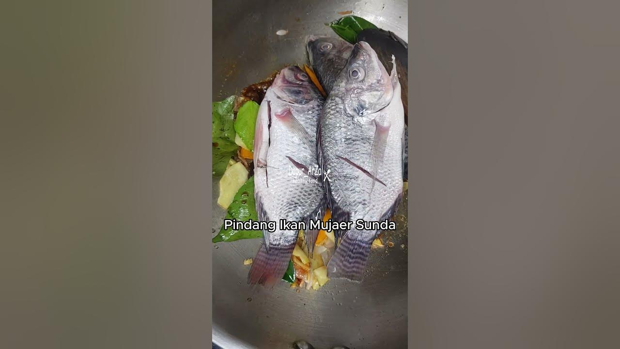 Pindang Ikan Mujaer Khas Sunda