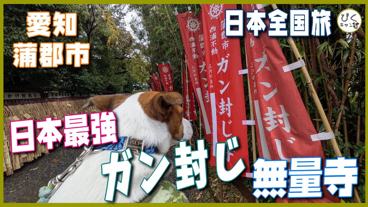 【日本最強 ガン封じ寺】無量寺 友人のためにガン祈祷に行ってきた 愛知県蒲郡市