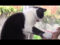 Murph: Hi five
