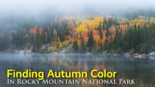 When and Where to Experience Fall in Rocky Mountain National Park