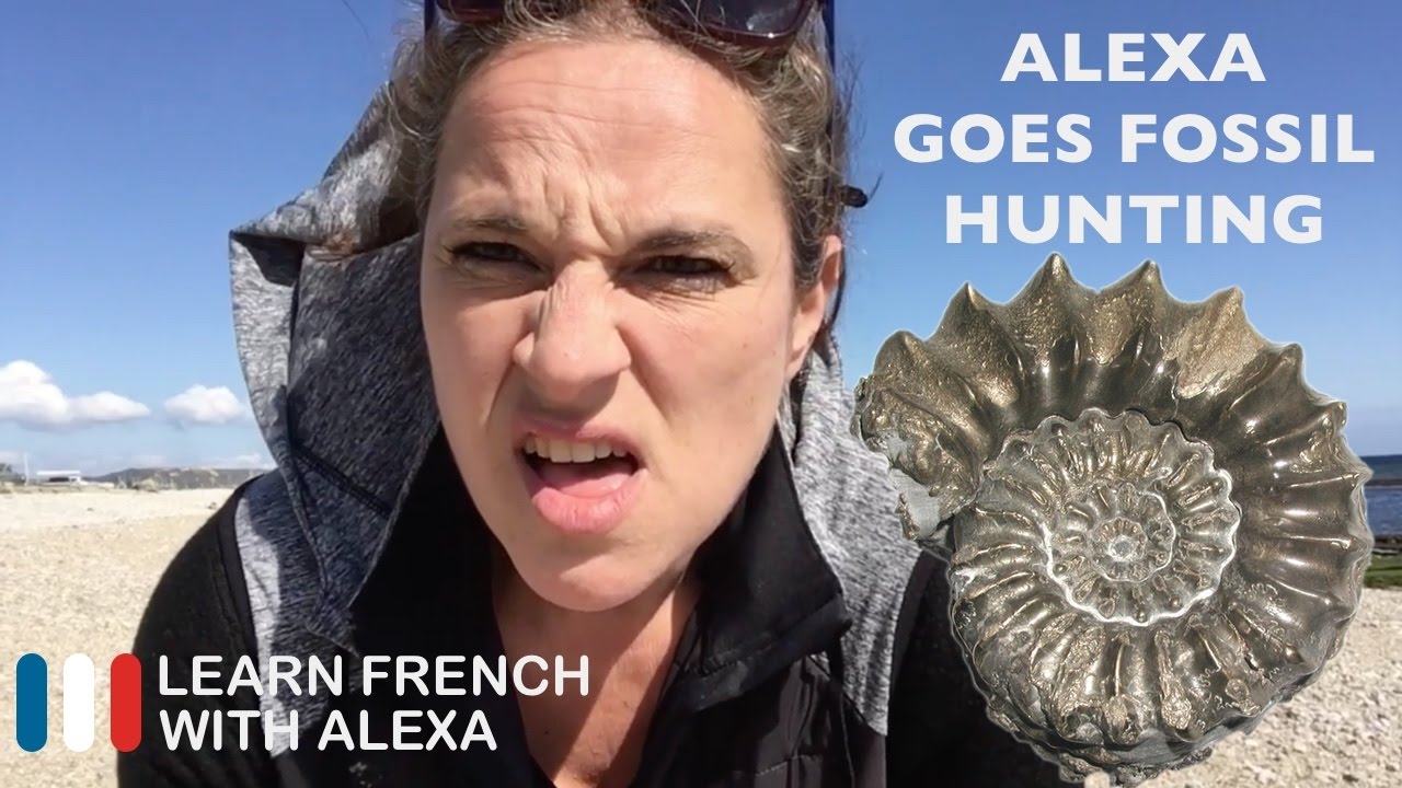 ⁣Alexa goes fossil hunting - French comprehension exercise...