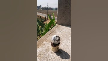 Tomato vs machis experiment #shorts #viral #trending #m4tech #e_bull_jet